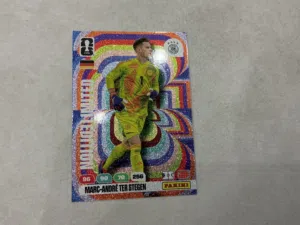 Ter Stegan very rare card limited edition