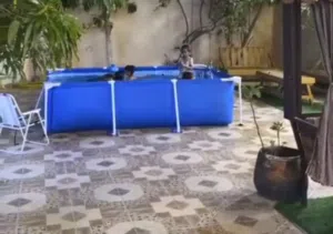 أحواض سباحة جديدة بجميع المقاسات