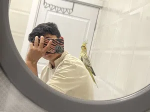 كوكتيل البيع 65’0000