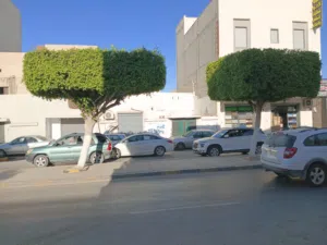 منزل تجاري للبيع شهادة عقارية