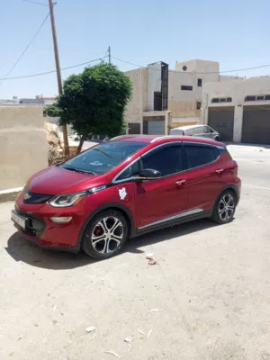 شفر بولت 2019 بريمير امريكي