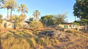Farm Land for Sale in Al Batinah Saham