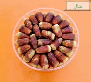 تمر نغال معلب ونظيف