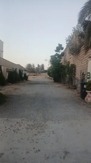 قطعة أرض الله يبارك ملك مقدس