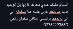 السلام عليكم عندي مخالف 8 زواجل كويتيه صيد صايدهم عربن علينه هنا بسفوان اني الي يريدهم يراسلني مكان