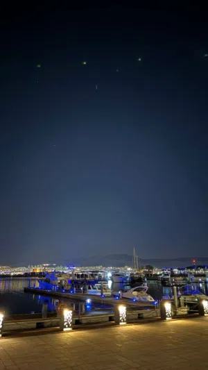 أمير الشطي 