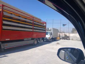 مرسيدس2009