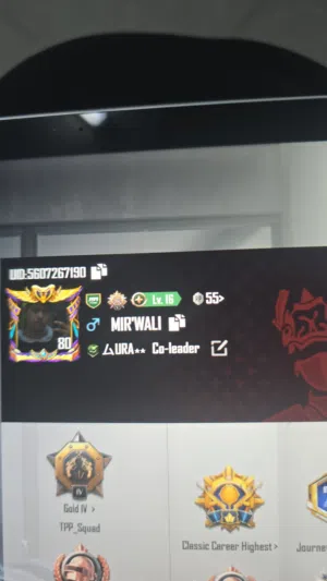 Pubg account level 80