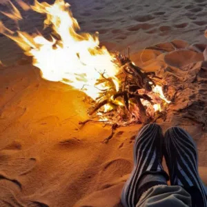 صقر .