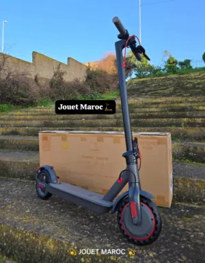 trottinette AOVO pro ES80