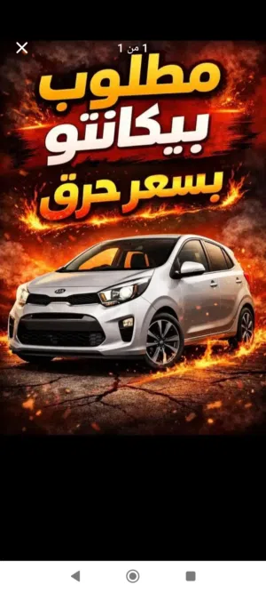 مطلوب مورنج15/16/17 الدفع كاش في رام الله اوقلقيلية