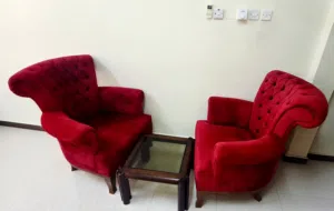 2 seater with luxury comfort