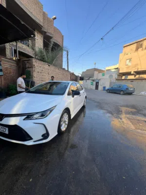 تلبيع كورلا هايبرد