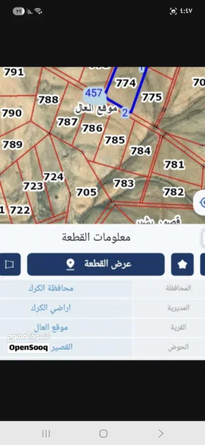 قطعة أرض في الكرك 10 دونم  موقع العال