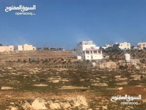 Farm Land for Sale in Mafraq Rhab