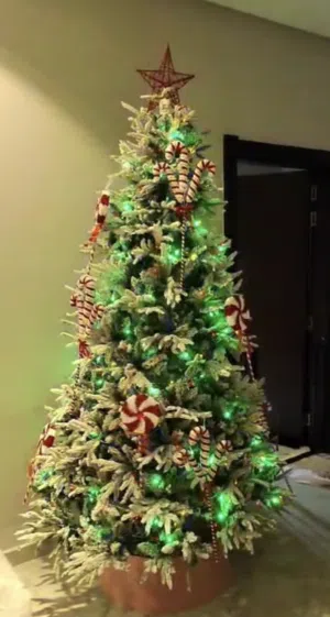 Christmas Tree and Decor