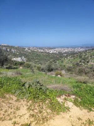 Residential Land for Sale in Jenin Burqin