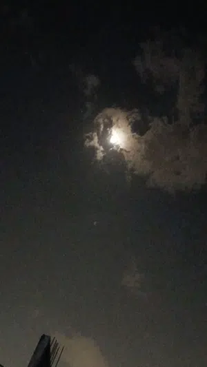 Aya Algour 