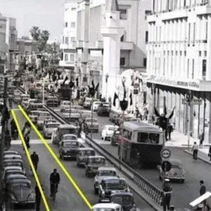 فرج المشاى المشاى