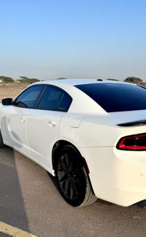 Used Dodge Charger in Al Batinah