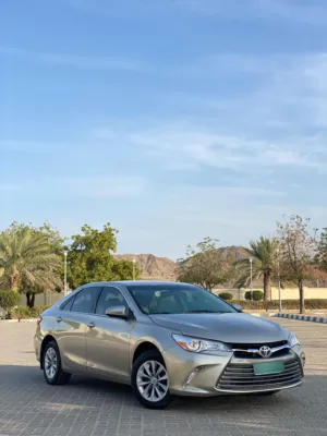 Used Toyota Camry in Al Batinah