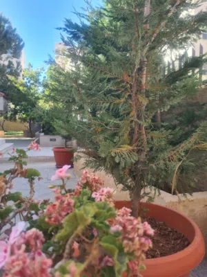 Villa with Beautiful Gardens for Rent in Marj Al-Hamam An exceptional living experience awaits you