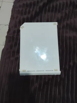 Nintendo Wii
