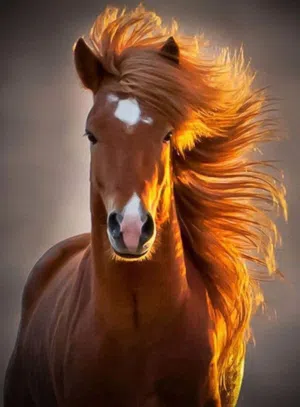 سنبله 