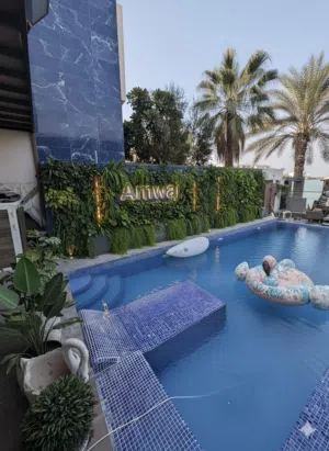 swimming pool maintenance work cleaning electric and plumbing