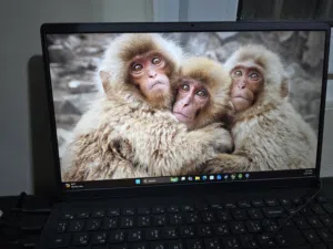 للبيع: لابتوب Dell Vostro 15 3510 بمواصفات ممتازة ونظافة تامة
