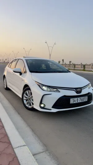 كورلا هايبرد 2025 هايبرد