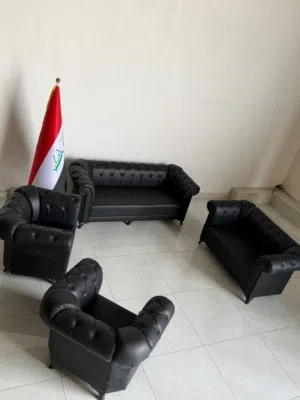 تخم مكتبي جلد