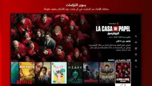 Netflix Accounts and Characters for Sale in Basra
