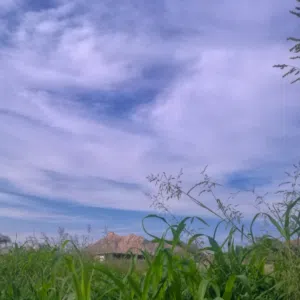 ABDULRAOOF Almqbali