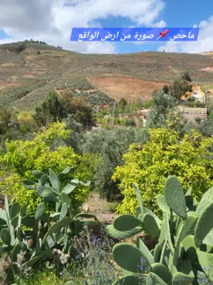 Farm Land for Sale in Amman Mahes