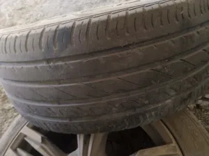 جنطين بي ام