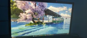 22 LG monitors for sale  in Amman