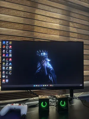 Gaming monitor