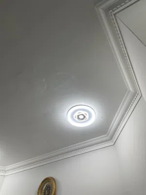 Ceiling light