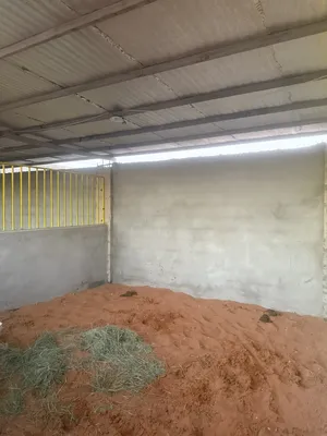 ‏خيل‏3
