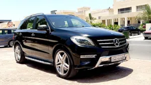 ML 500 V8 2013