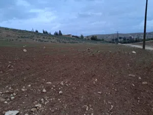 Farm Land for Sale in Mafraq Bala'ama