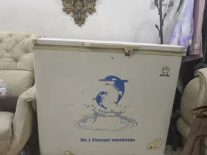 مجمده شغاله تجميد