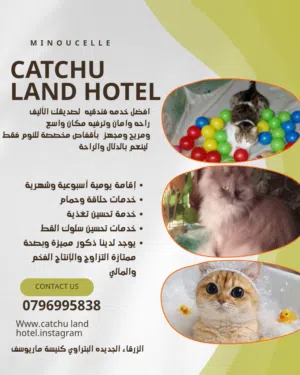 CATCHU LAND HOTEL
