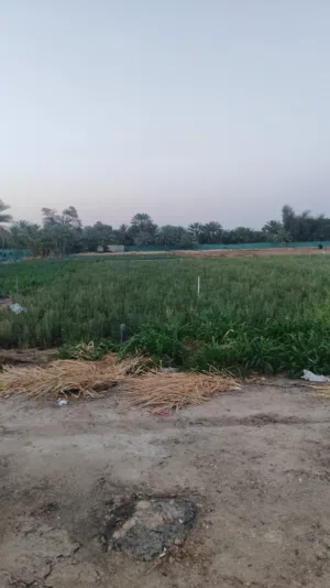 مزرعه في ناهل للبيع