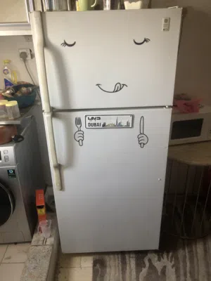 ثلاجه ميه بالميه شغاله