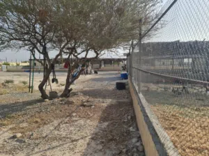 Farm Land for Sale in Al Dakhiliya Nizwa