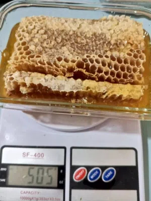 عسل طبيعي من جبال جرش