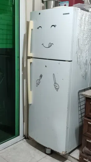 ثلاجه و ميكرويف