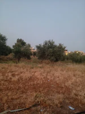 Residential Land for Sale in Salt Al Subeihi